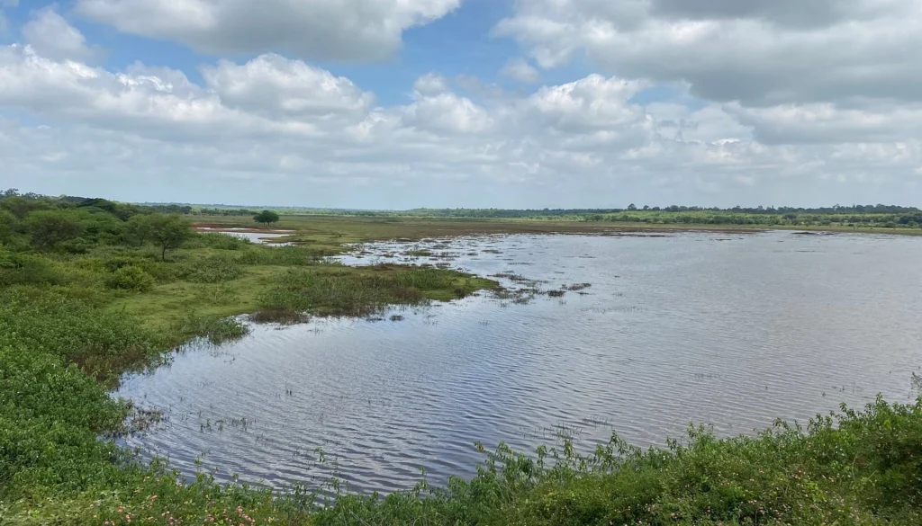 Hesaraghatta