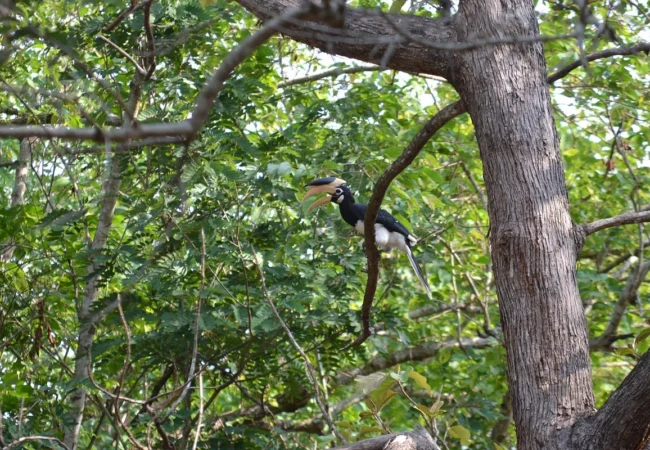 thumbnail-image