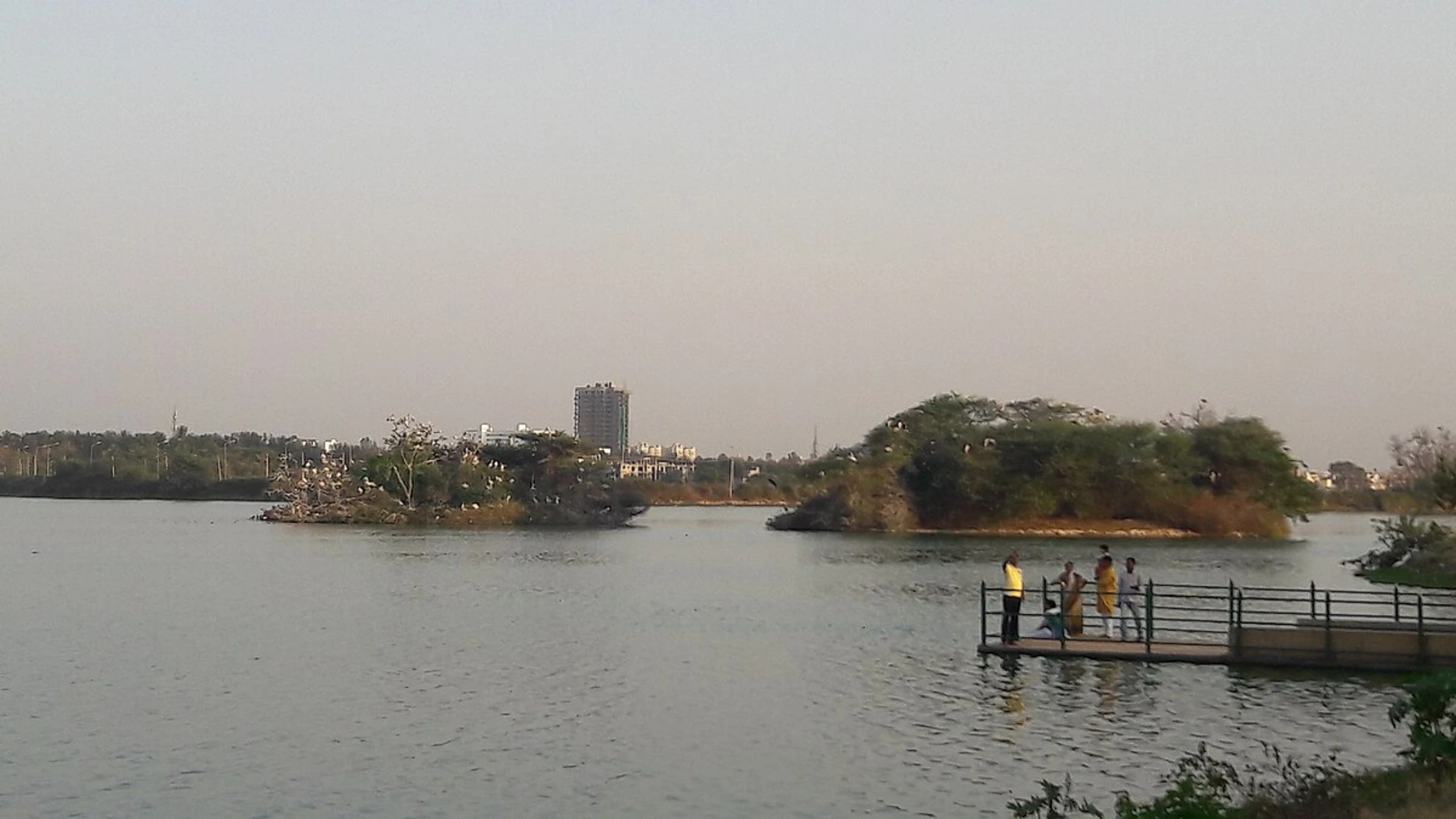 Jakkur Lake