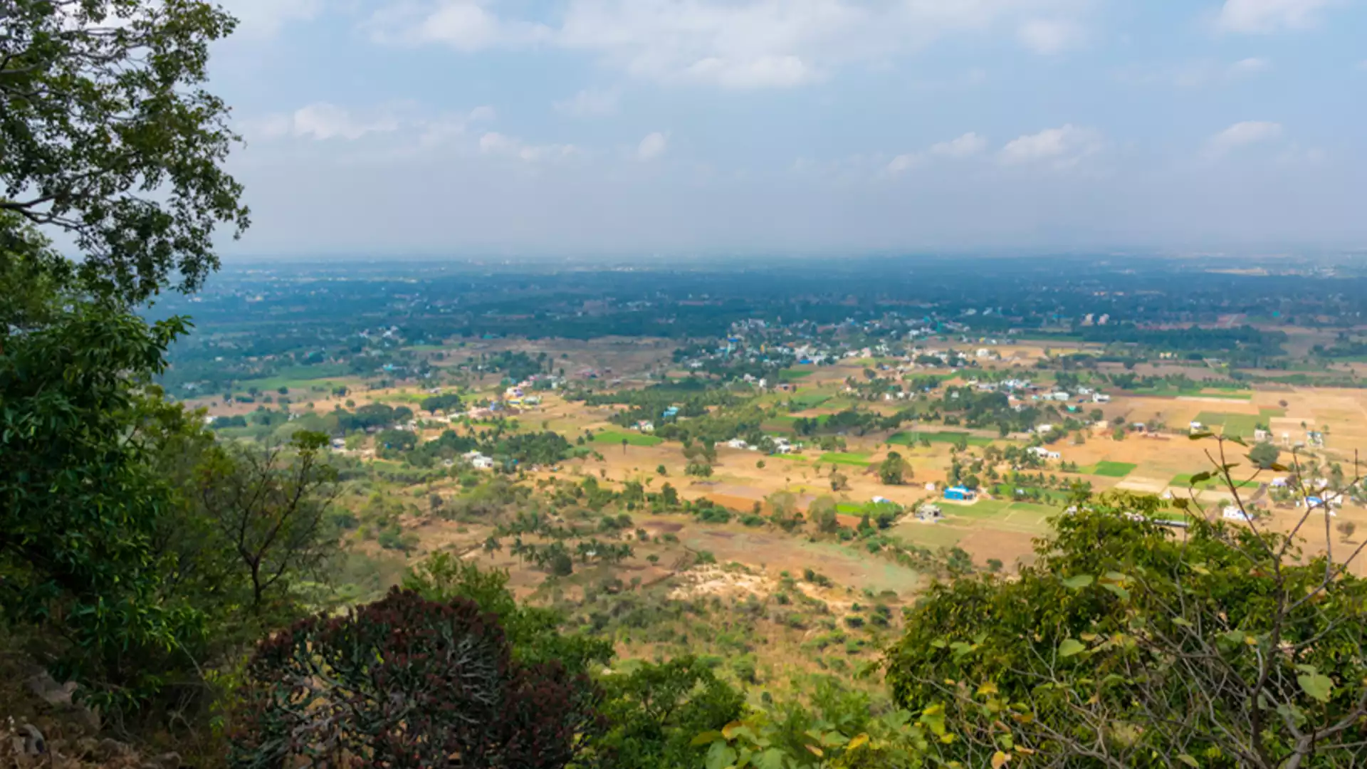 Yelagiri