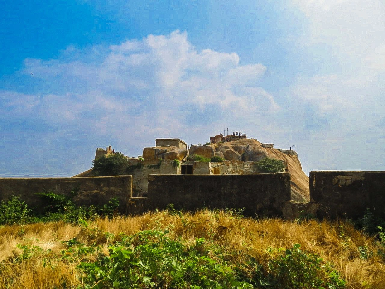 banner-image