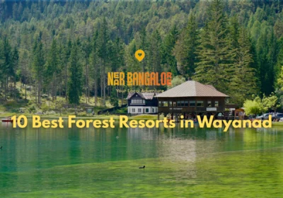 10 Best Forest Resorts in Wayanad