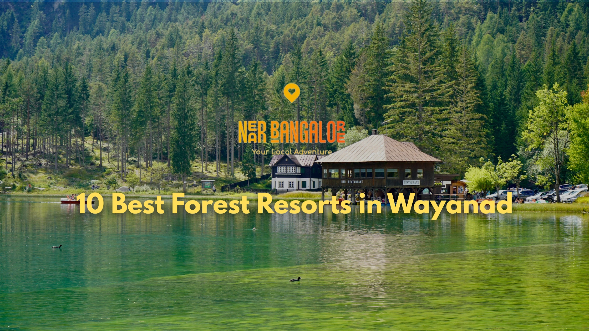 10 Best Forest Resorts in Wayanad