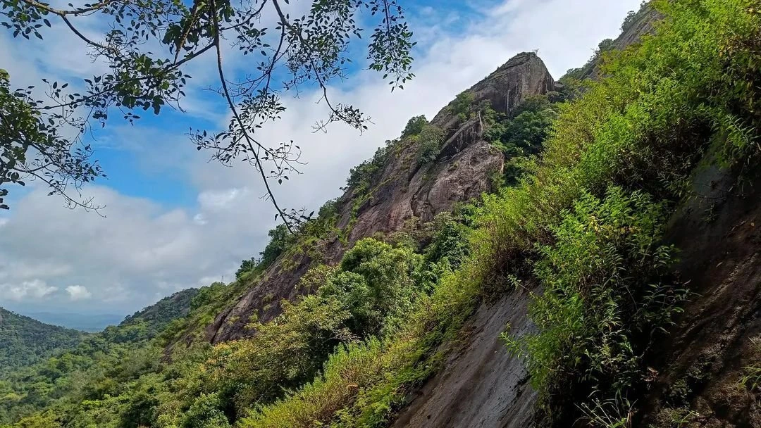 Backpacking Trip to Wayanad