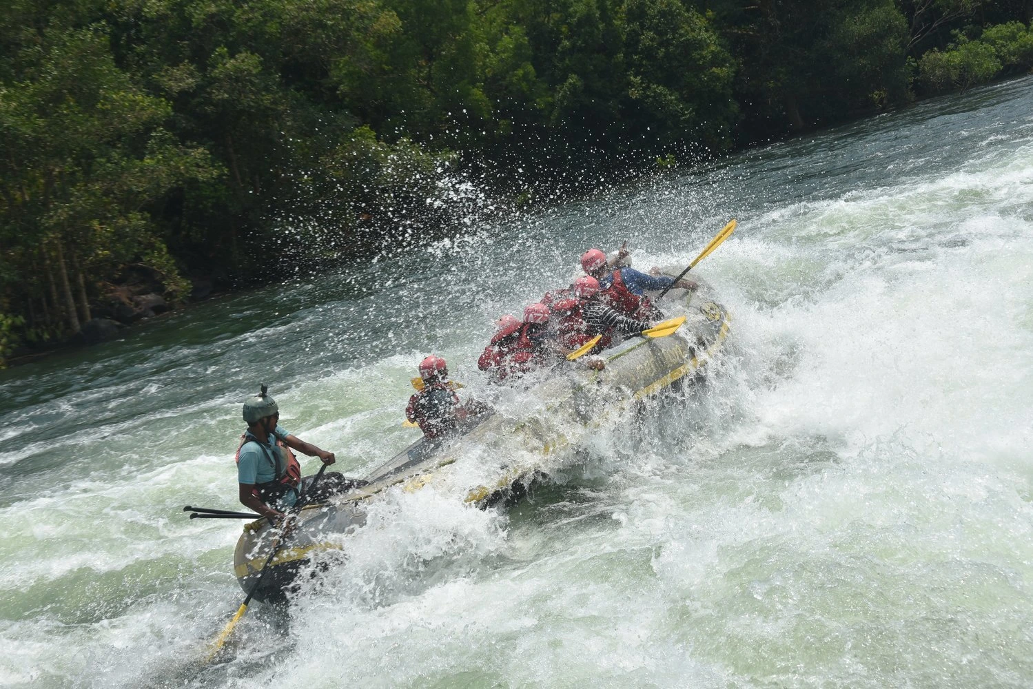 banner-image