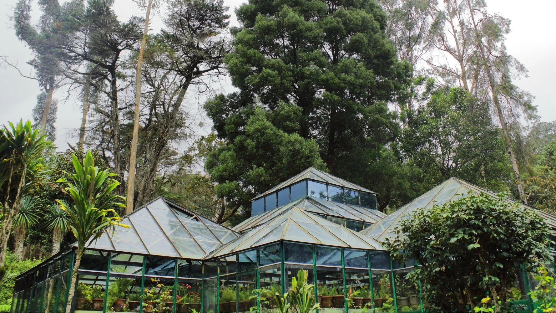 banner-image