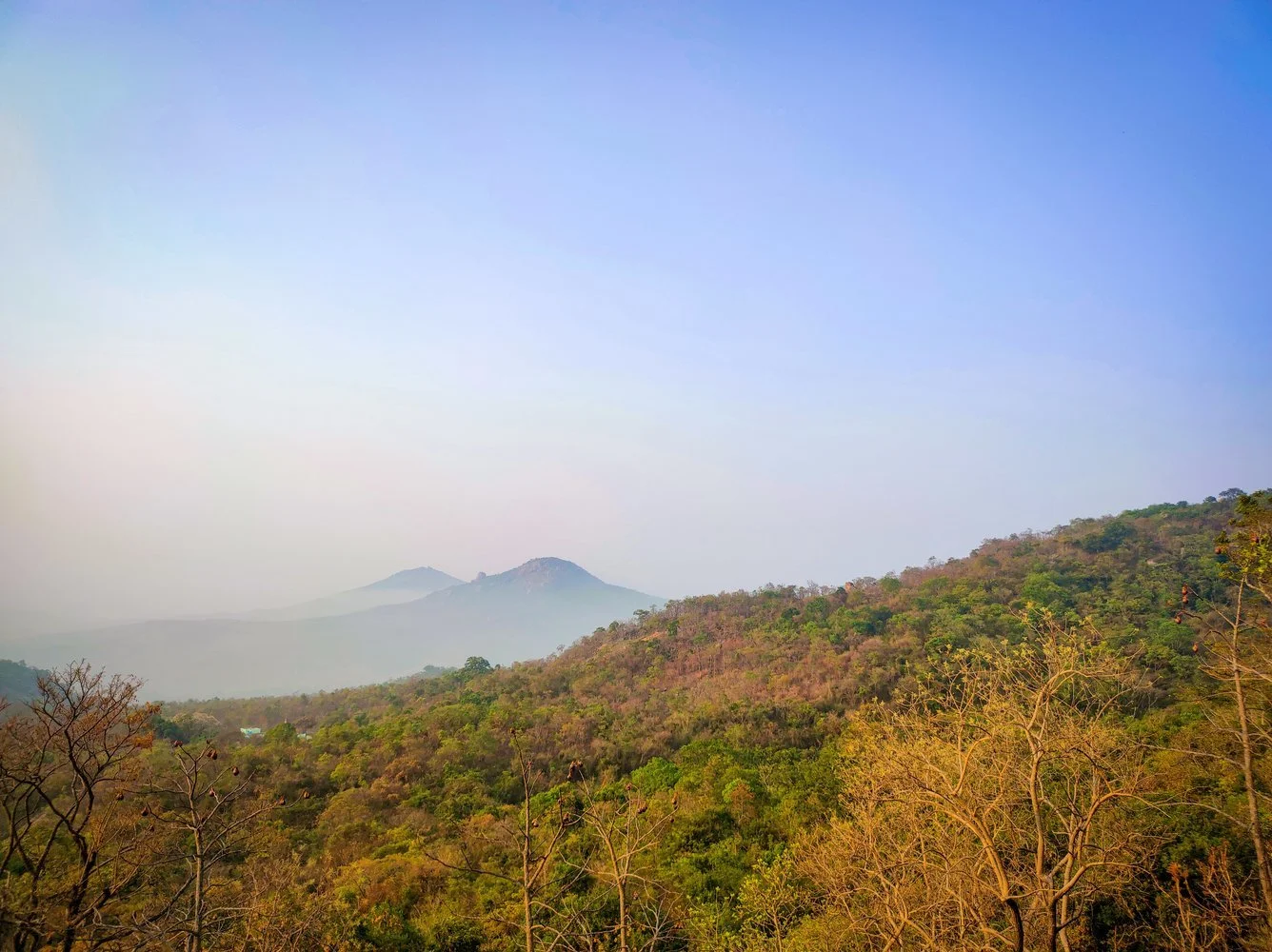 banner-image