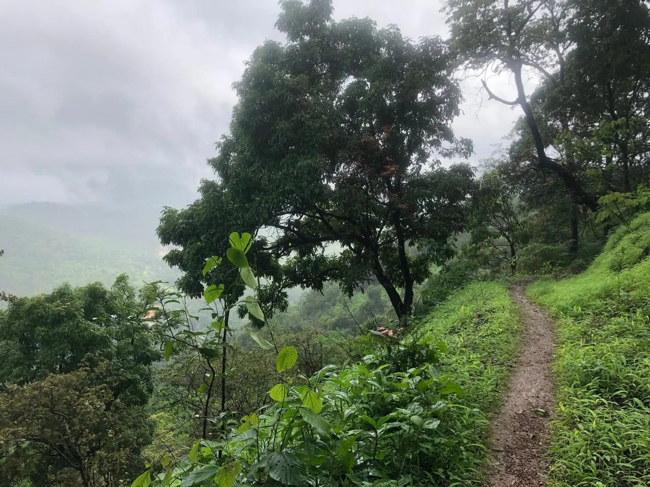Great South Goa Trek and Tour Images photos