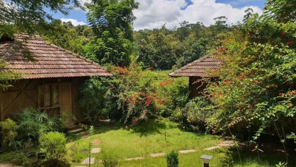 Jungle Retreat Wayanad