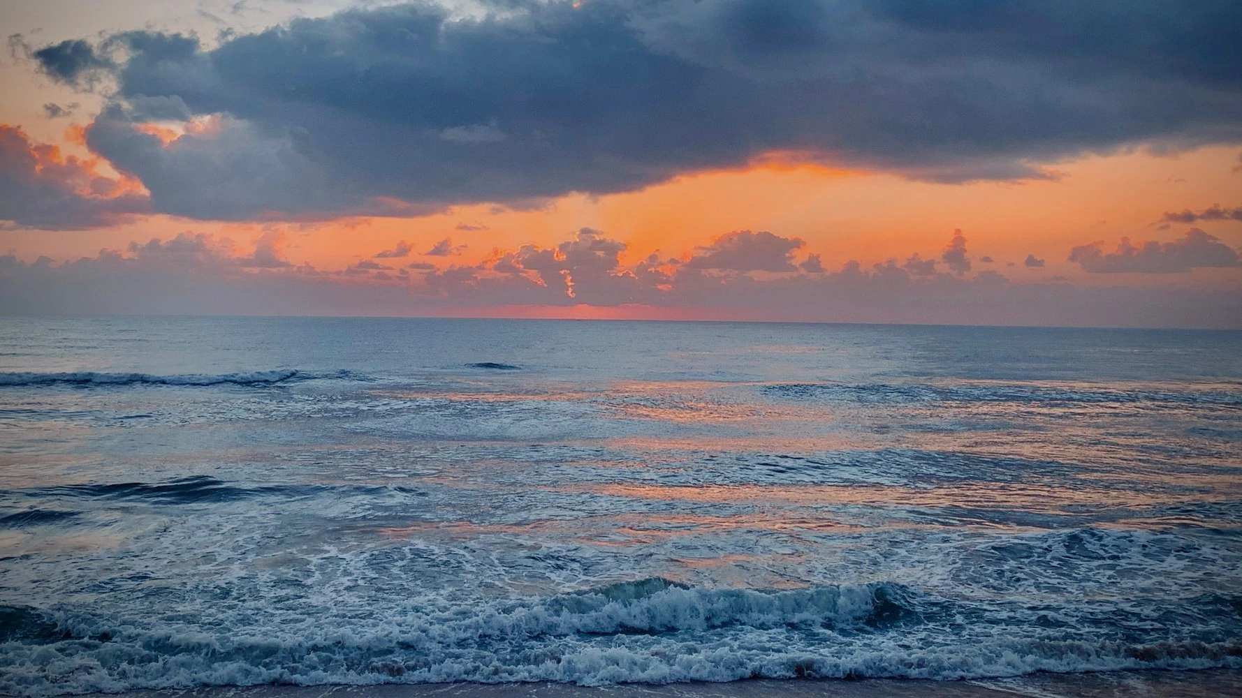 banner-image