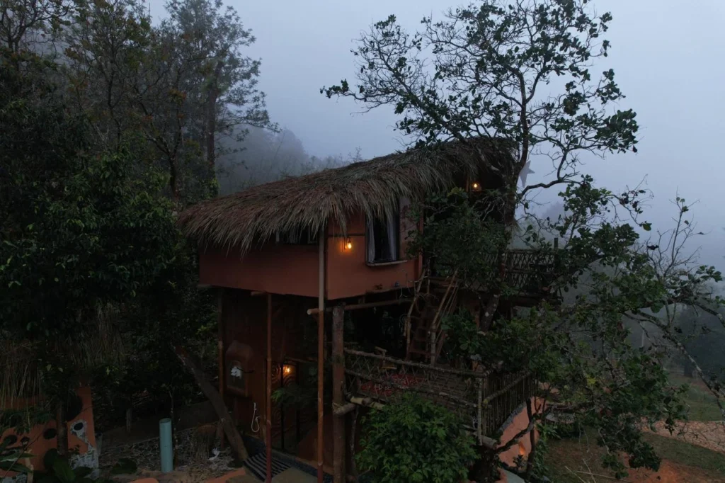 Taiga Forest Resort booking