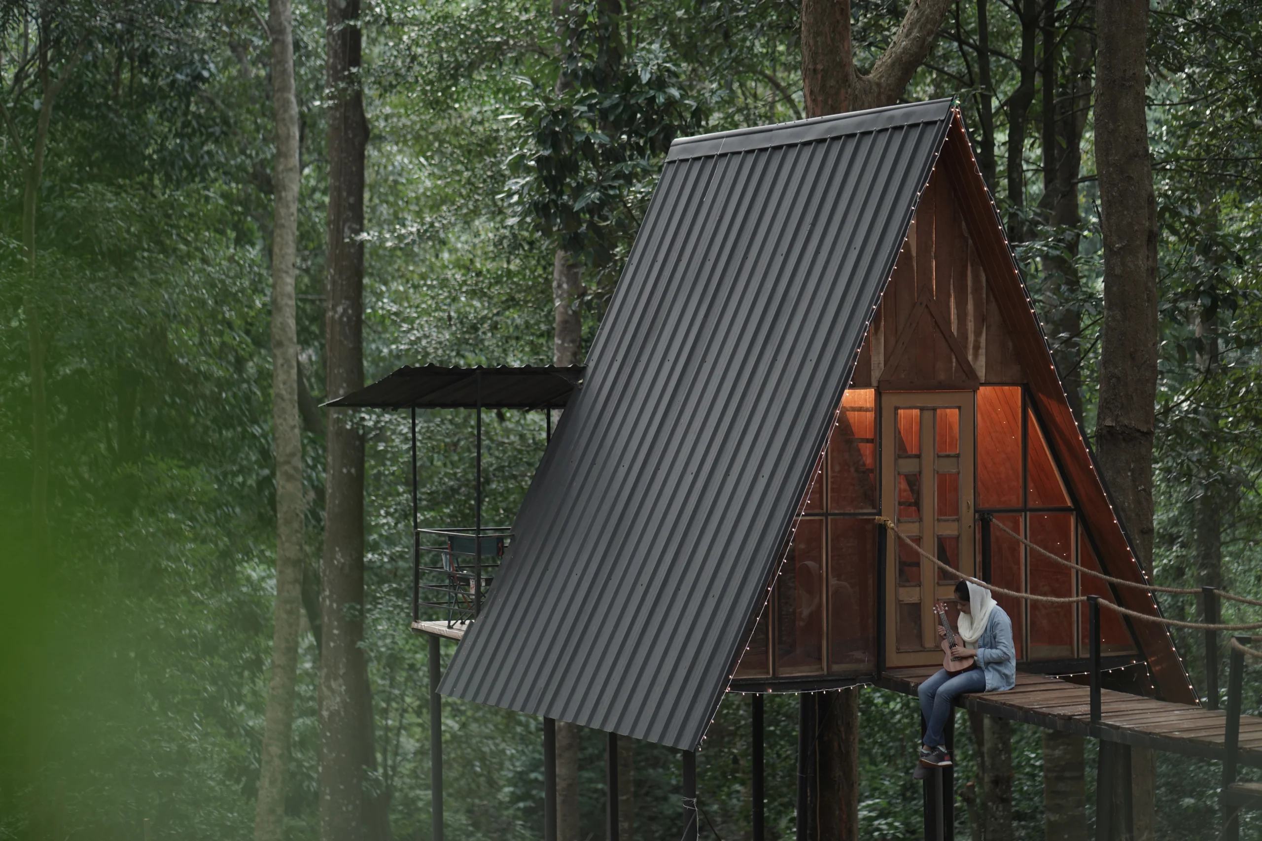 Wild Vibes in Wayanad