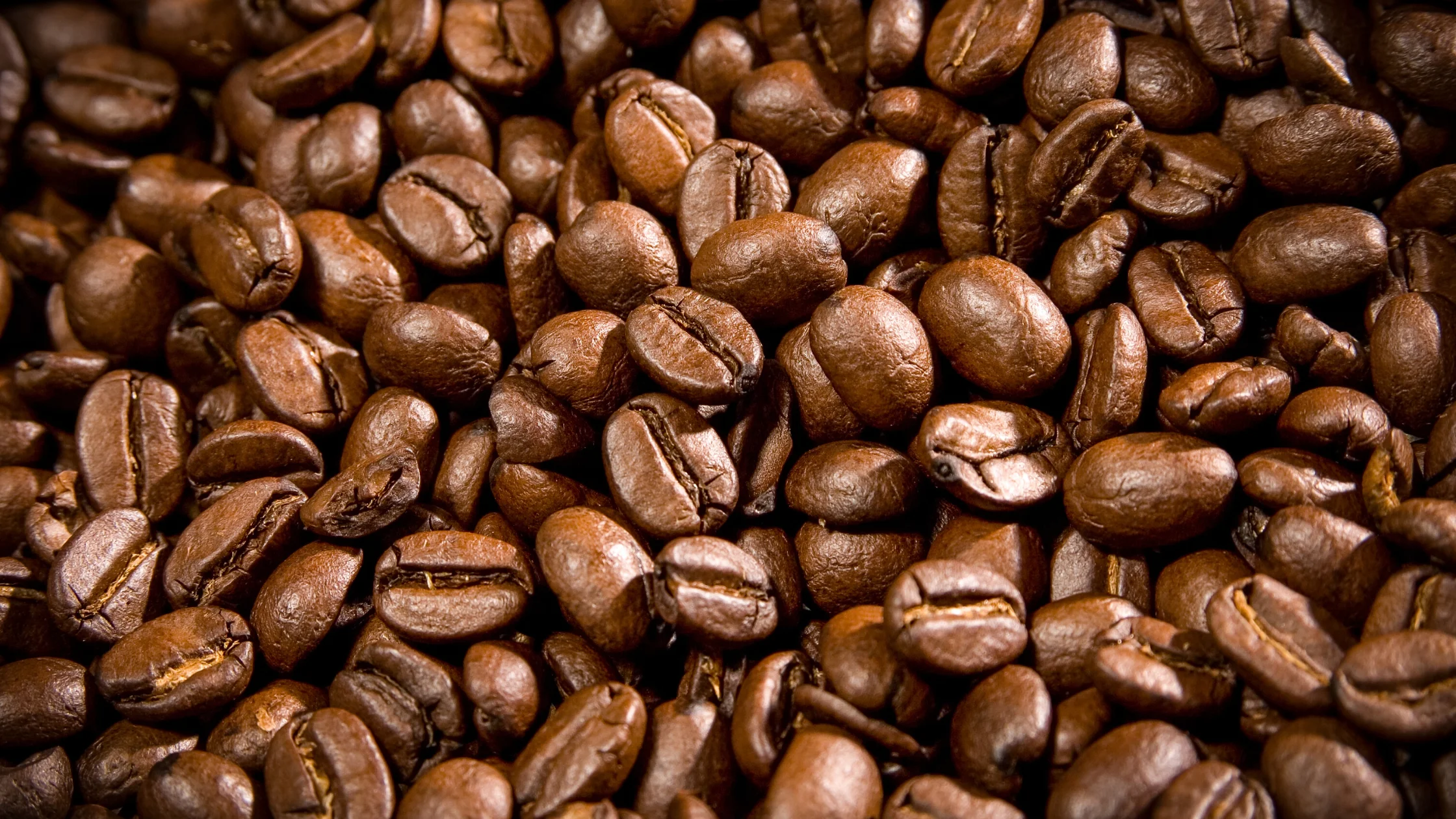 Coffee Beans and Powder