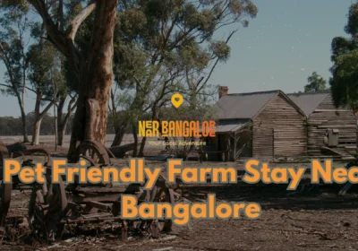 Pet Friendly Farm Stay Near Bangalore